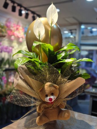 Gold Işıltılı Barış Çiçeği Aranjmanı